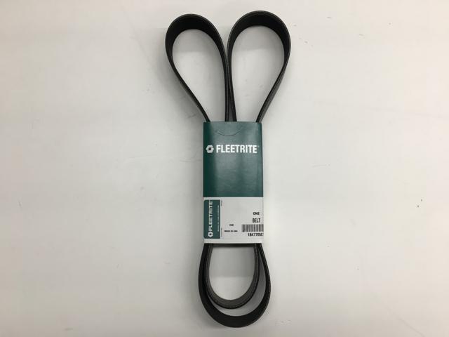 1847705C1, Navistar International, SERPENTINE BELT, V RIBBED, 10-PACK, 1850MM - part number 1847705C1