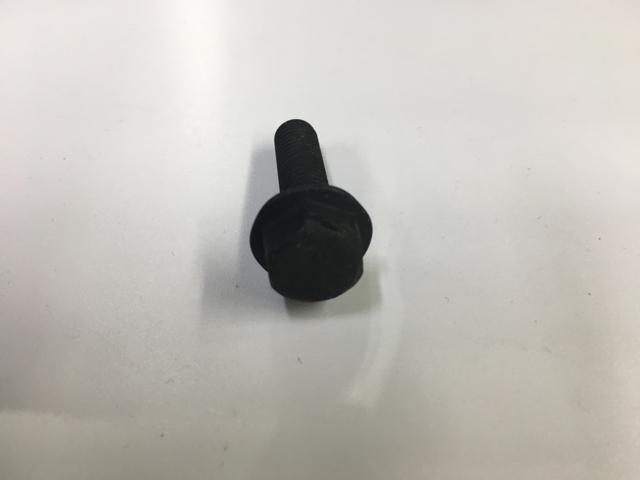 31056R1, Navistar International, BOLT HEX FLG HD M8 X 30 10.9 P - part number 31056R1