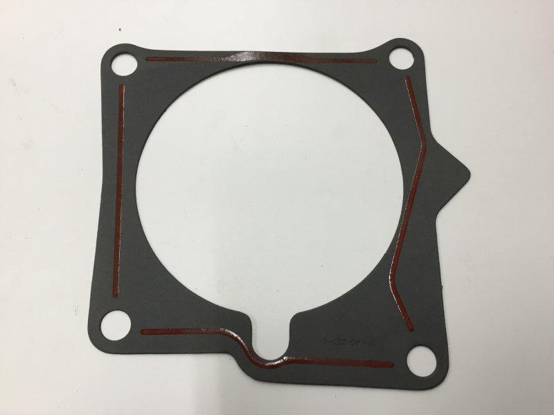 596376C2, Navistar International, GASKET - 596376C2