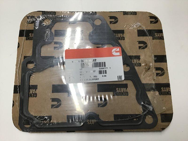 3893692, Cummins, GASKET, SUPPORT - part number 3893692