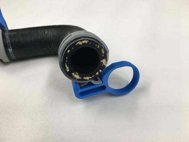 7095636C3, Navistar International, HOSE, OIL COOLER - part number 7095636C3