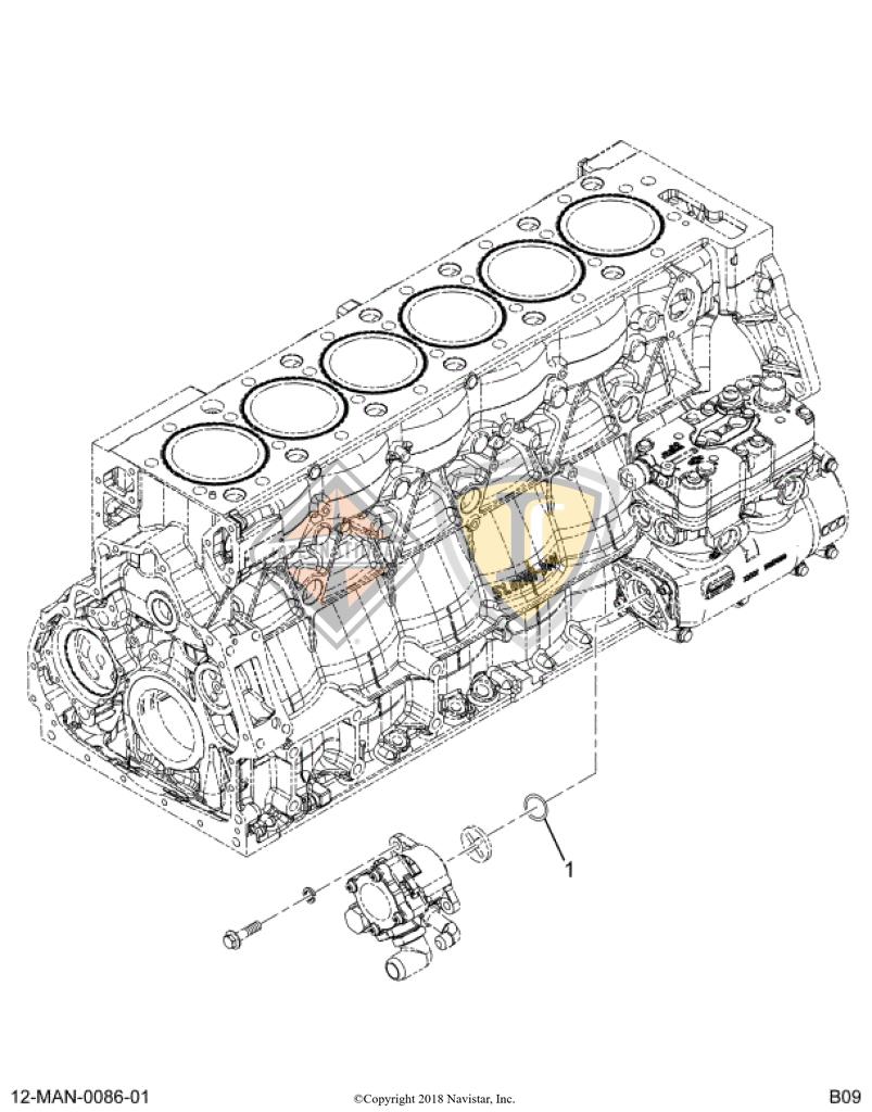 2601295C1, Navistar International, O-RING, SEAL - part number 2601295C1