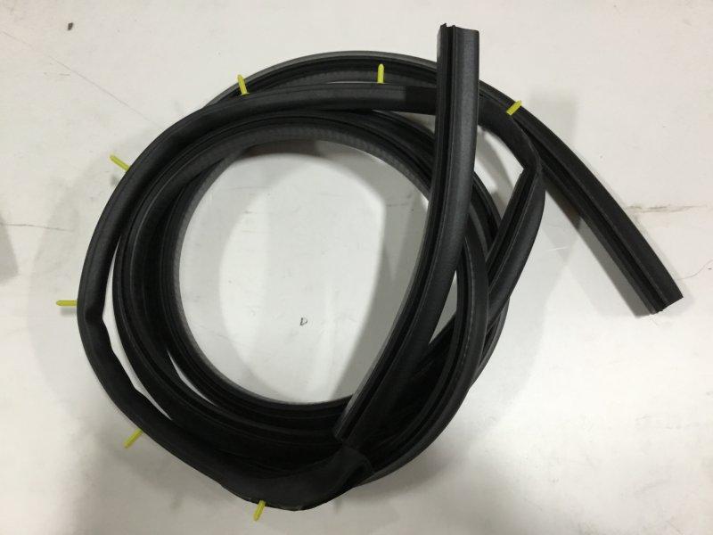 3602207C1, Navistar International, SEAL, ASSY DOOR LH - part number 3602207C1