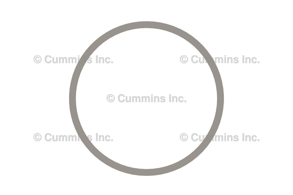 3862524, Cummins, Engine Components, SEAL, RECTANGULAR RING - 3862524