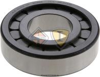 DS129947, Spicer U-Joints & Center Bearings, BEARING, TAPERED ROLLER, WUB61308UM - DS129947