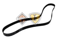 1847701C1, Navistar International, SERPENTINE BELT, V-RIBBED, 2195MM - 1847701C1