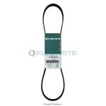 SERPENTINE BELT, POLY 8 RIBS X 70 EL