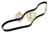 2513519C1, Navistar International, Uncategorized, SERPENTINE BELT, 8-RIB, 71.85 - 2513519C1