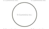 4319031, Cummins, BUSHING, CAMSHAFT - 4319031