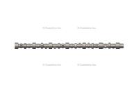 4298629, Cummins, CAMSHAFT - 4298629