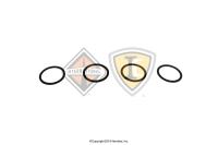 2501161C1, Navistar International, GASKET - 2501161C1