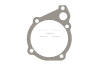 3067613, Cummins, GASKET - 3067613