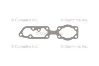 GASKET, FILTER HEAD
