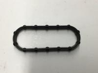 1873906C1, Navistar International, GASKET, IRREGULAR MOLDED - 1873906C1