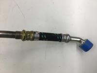 3929504C1, Navistar International, HOSE AIR OR OIL - 3929504C1