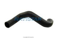 HOSE, RADIATOR, LOWER, OUTLET
