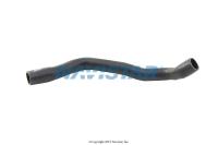 3610328C2, Navistar International, HOSE, SURGE TANK - 3610328C2