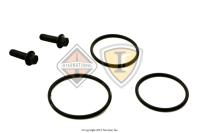 1889136C91, Navistar International, SEALS KIT, EGR VALVE - 1889136C91