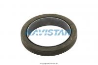 KIT, FRONT OIL SEAL, 466