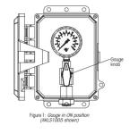 LOAD SCALE MODULE W/DUMP