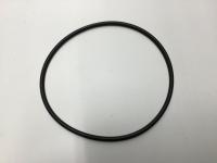 1819099C1, Navistar International, NGD WATER PUMP SEAL - 1819099C1