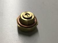 OIL DRAIN PLUG