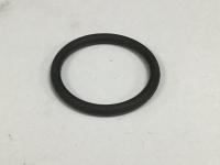 1825610C1, Navistar International, OIL PLUG SEAL - 1825610C1