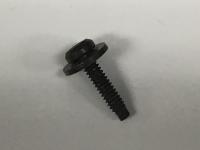 SCREW SEMS TORX P.H. W/LOCAT