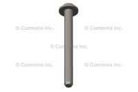 4101867, Cummins, SCREW, TWELVE POINT CAP - 4101867