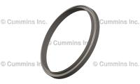 3004316, Cummins, SEAL - 3004316