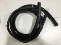 3602207C1, Navistar International, SEAL, ASSY DOOR LH - 3602207C1