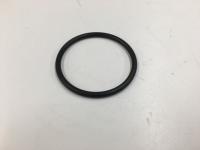 3007882C1, Navistar International, SEAL, O-RING - 3007882C1