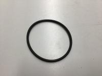 3089025, Cummins, SEAL O RING - 3089025