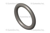 3089392, Cummins, SEAL, O RING - 3089392