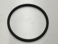 3101662, Cummins, SEAL, O RING - 3101662