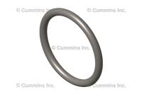 3347939, Cummins, SEAL, O RING - 3347939