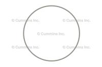 3912473, Cummins, SEAL, O RING - 3912473