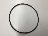 4299125, Cummins, SEAL, O RING - 4299125