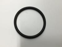 26164R1, Navistar International, O-RING, 63.5MM ID, THERMOSTAT - 26164R1