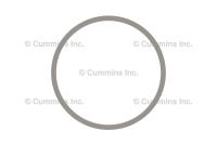 SEAL, RECTANGULAR RING
