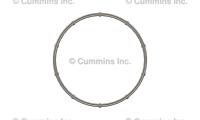 4985660, Cummins, SEAL, RECTANGULAR RING - 4985660