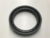UNITIZED PINION SEAL, OIL BATH