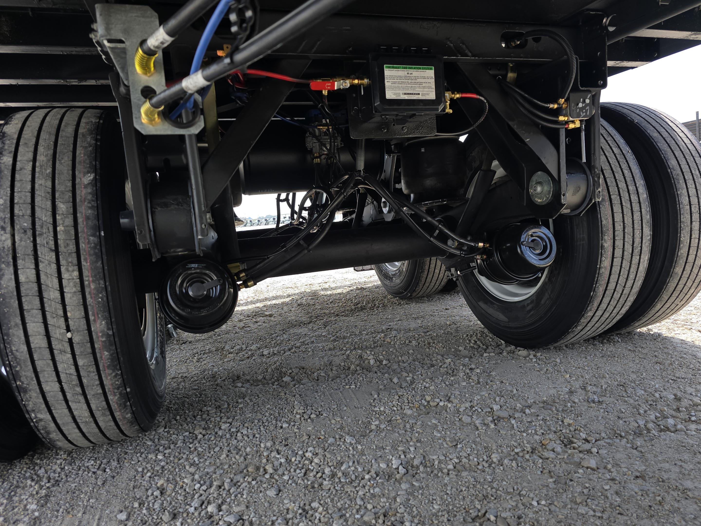 2026 Great Dane Champion CS1