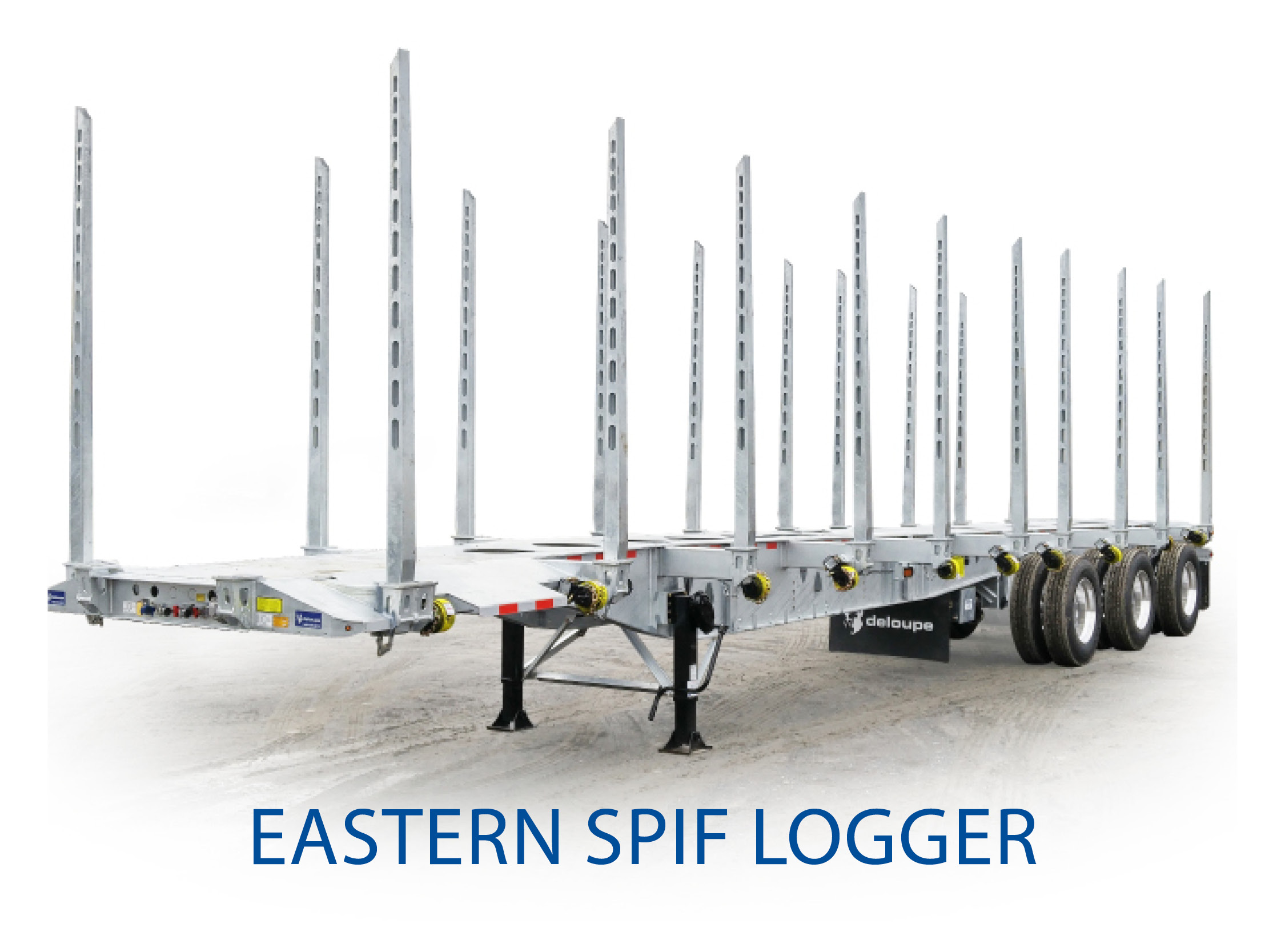 Eastern Spif Logger